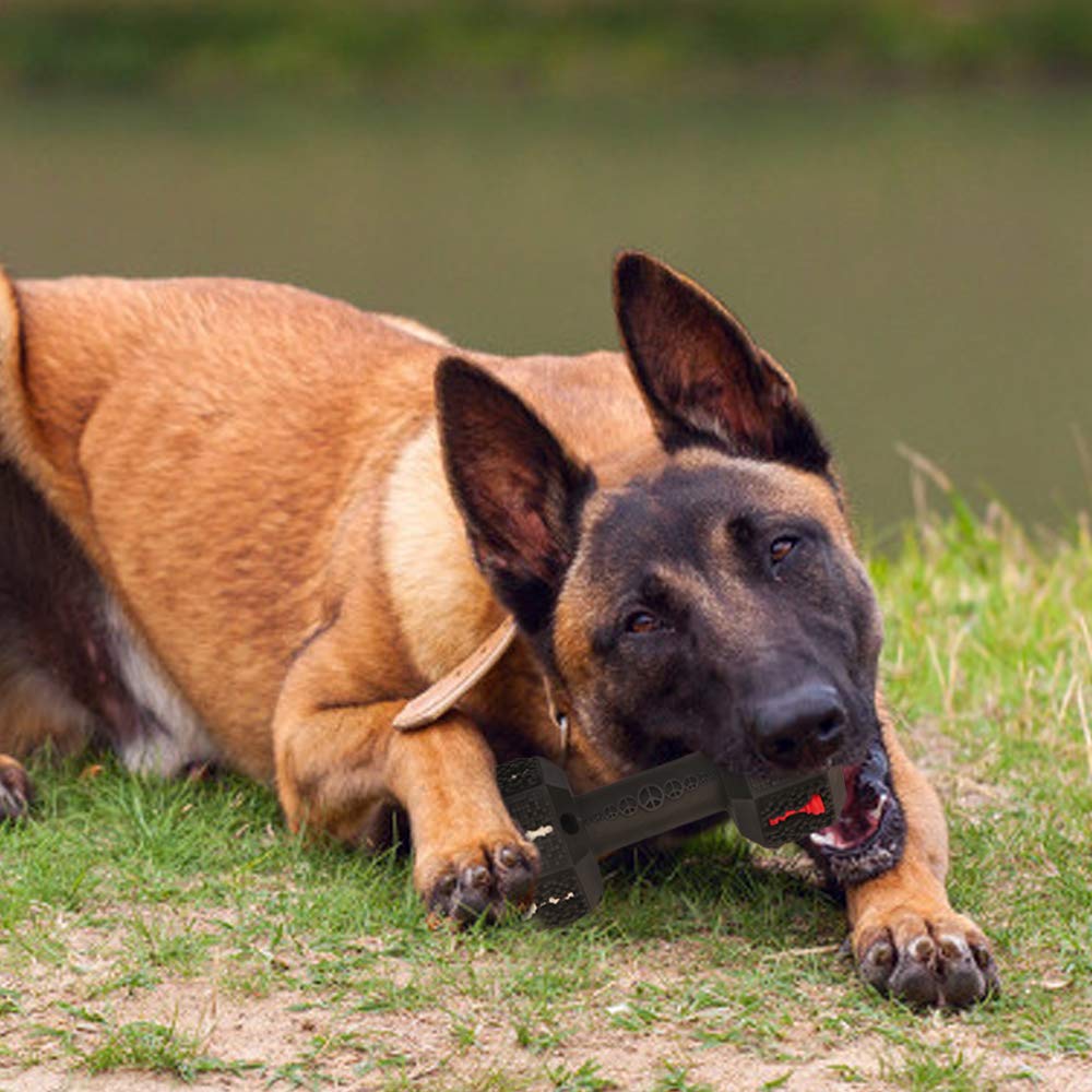 Dog Chew Toys for Aggressive Chewers Non-Toxic Dental Pet Toy forLarge