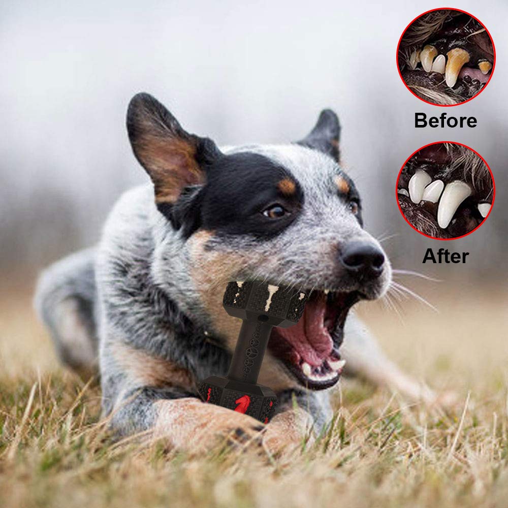 Dog Chew Toys for Aggressive Chewers Non-Toxic Dental Pet Toy forLarge