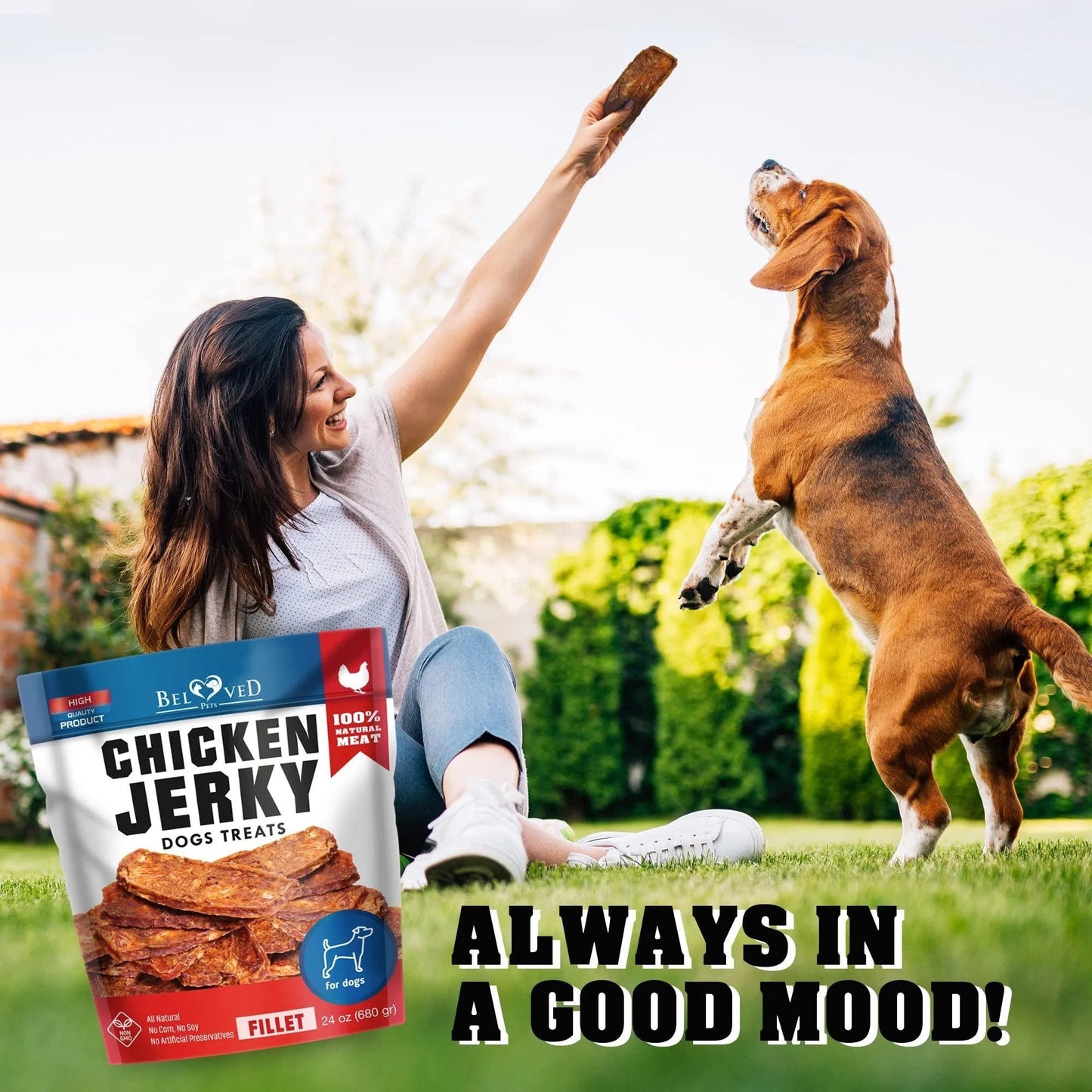 Chicken Jerky Dog Treats 1.5 Lb Human Grade Pet Snacks Grain Free